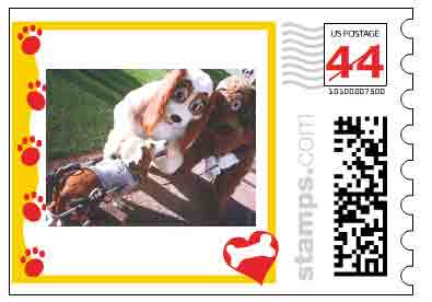 K-9Cart.com Photo Stamp