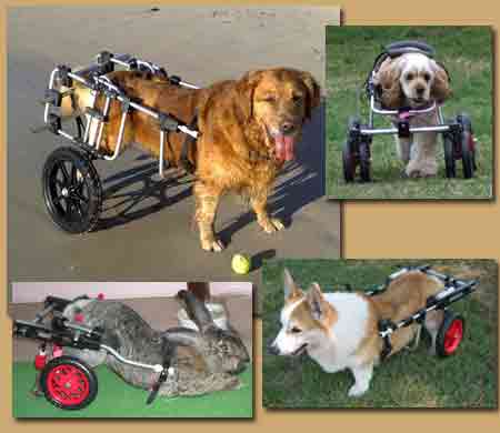 K-9 Cart Pet Wheelchairs