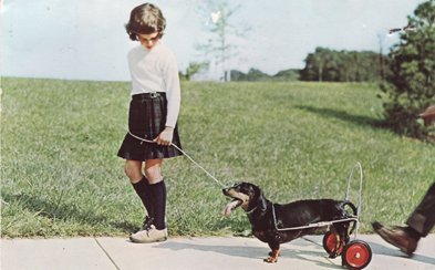 anne_postcard_dachshund