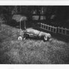 dachshund_bw_1975