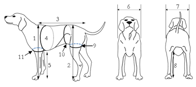 Measuring Chart