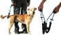 K9 EZ Sling