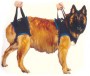 Walkabout Front Harness